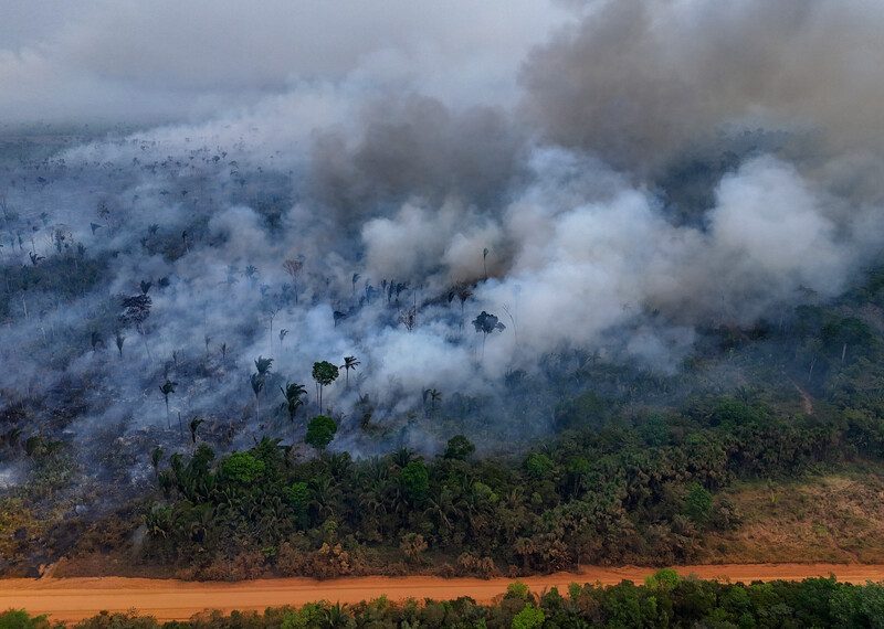 306193 Large smoke clouds billowing out of a forest.